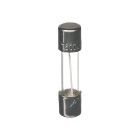 Glass Time Delay Fuse .5A 250V Mini Cartridge